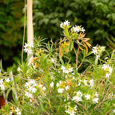 Hotel Landgasthof Lell