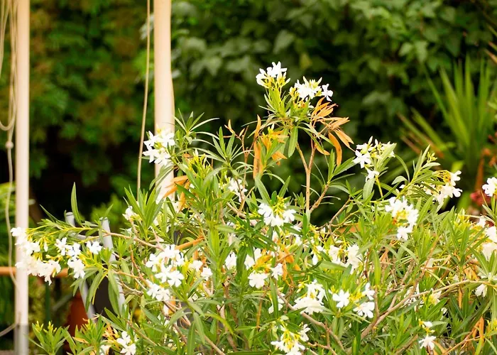 Hotel Landgasthof Lell